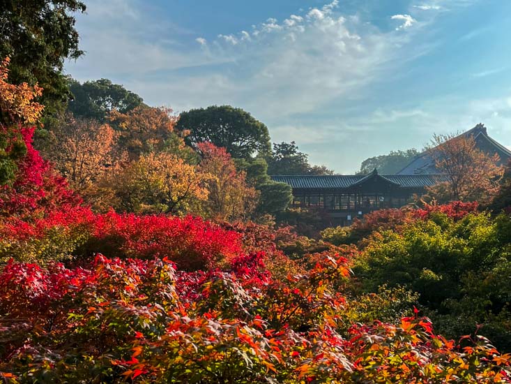 toufukuji-7901