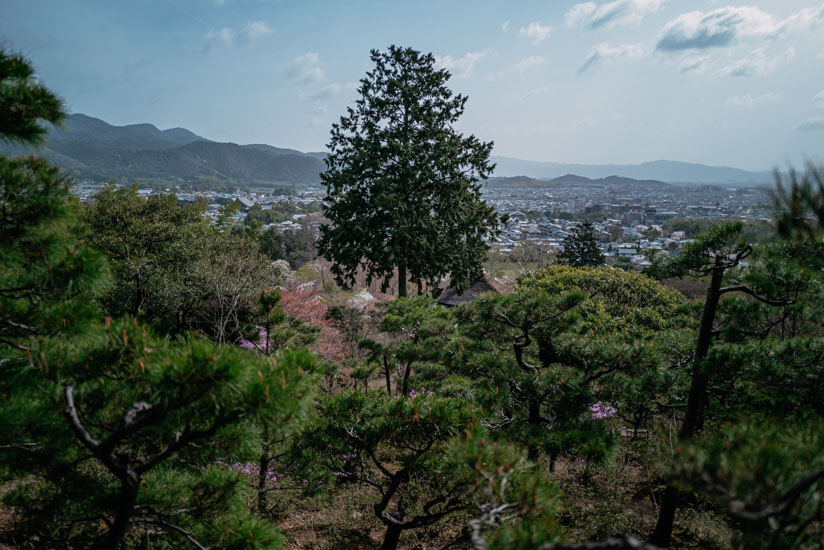 素晴らしい景色