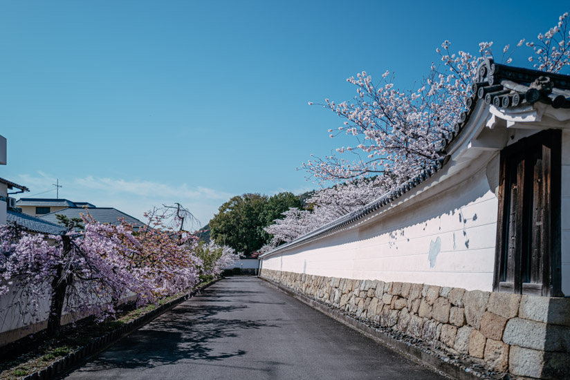 山門前の車道