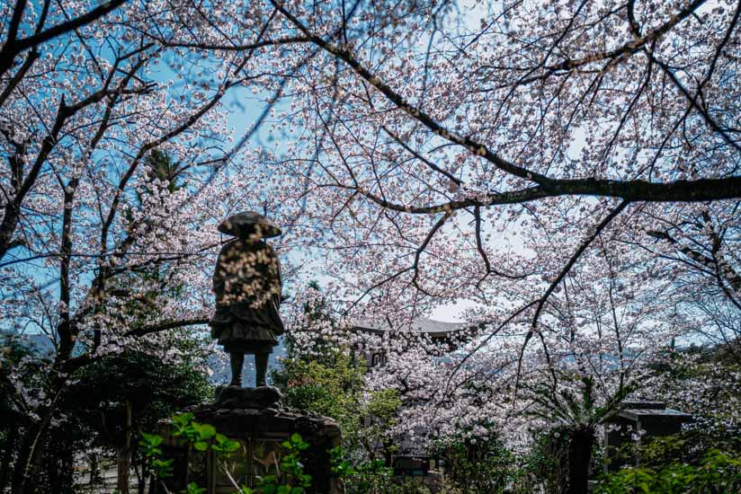 桜を満喫