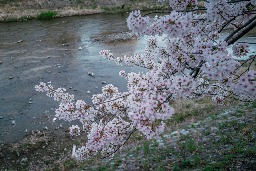 kawabata-hokusen-1030875