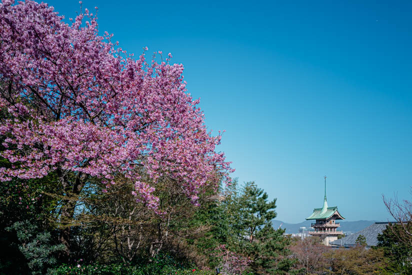 高台寺へ