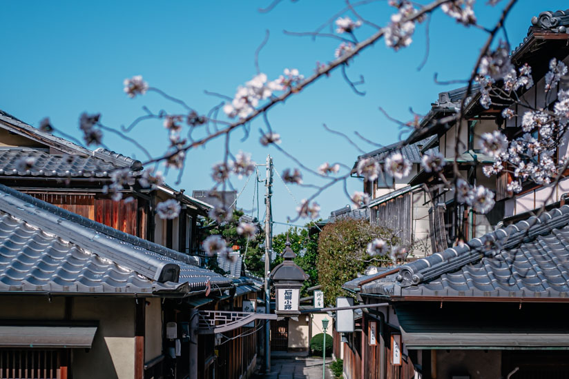 koudaiji-1030381