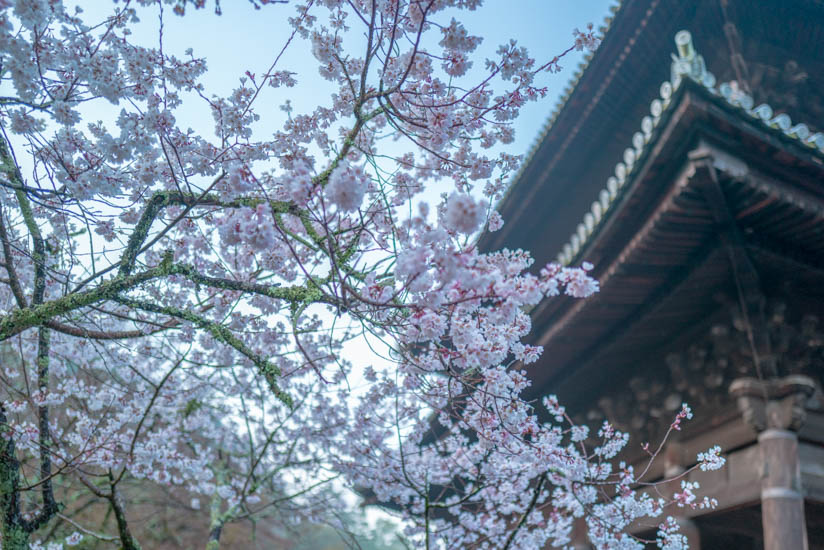 nanzenji-2