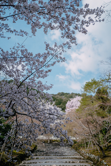 春の雰囲気