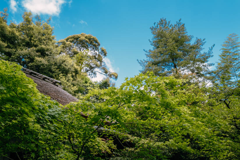 良いお寺