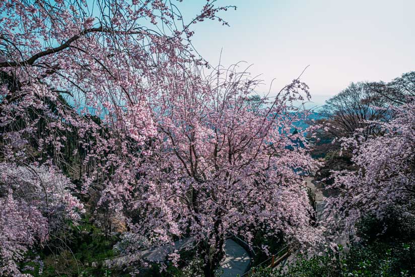 素晴らしい雰囲気