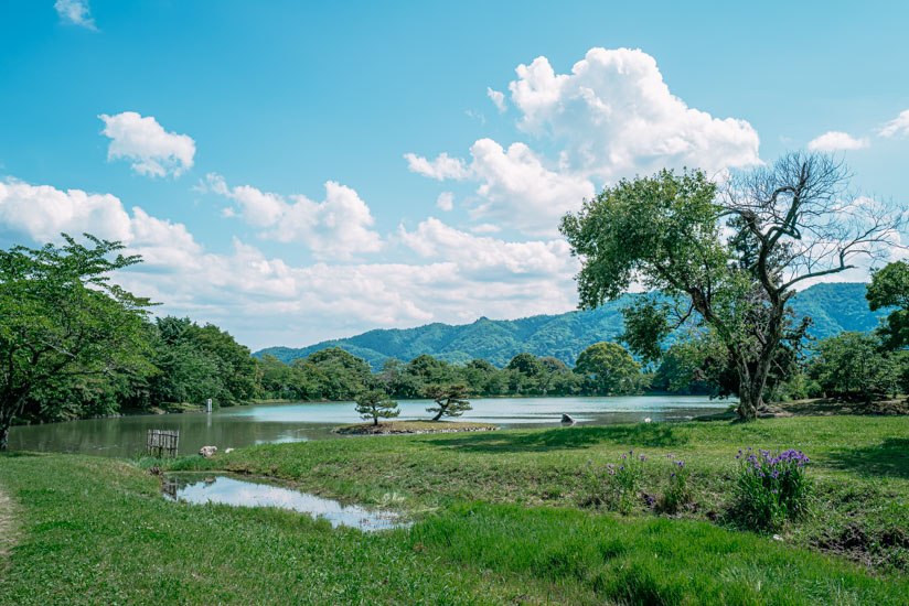 大沢池