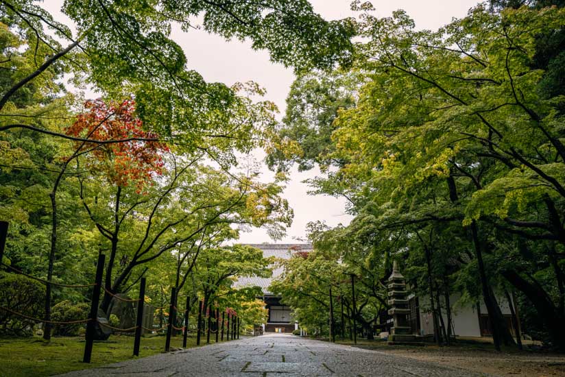 奥に見えるのが御影堂