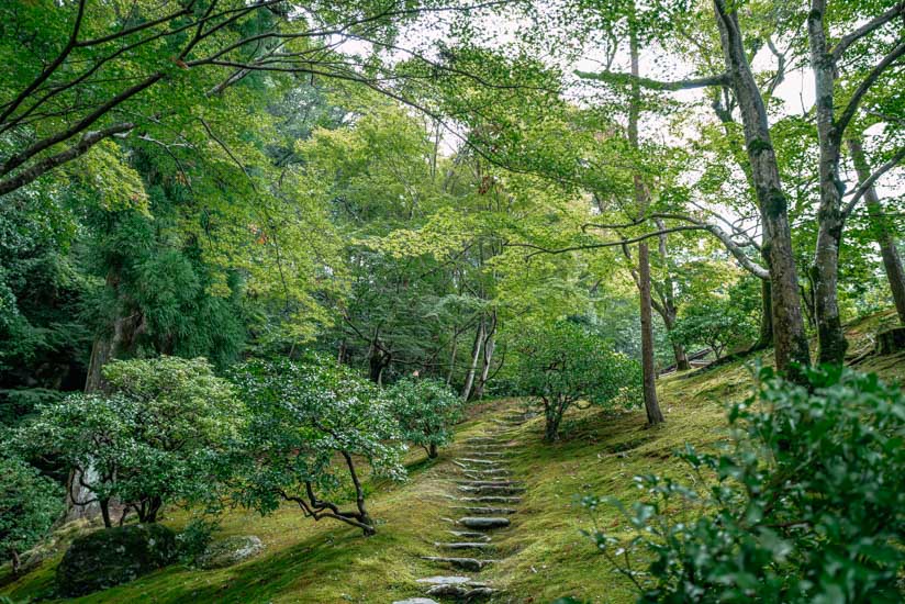 浴龍池へ