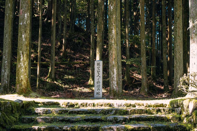 他にも見どころあり