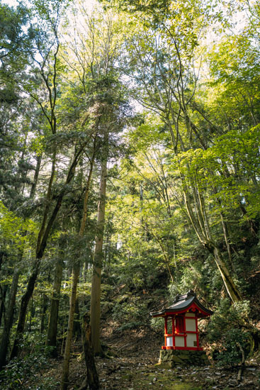 横川エリアもひと通り回り