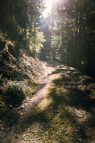 山道