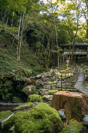 山を登ると諸堂