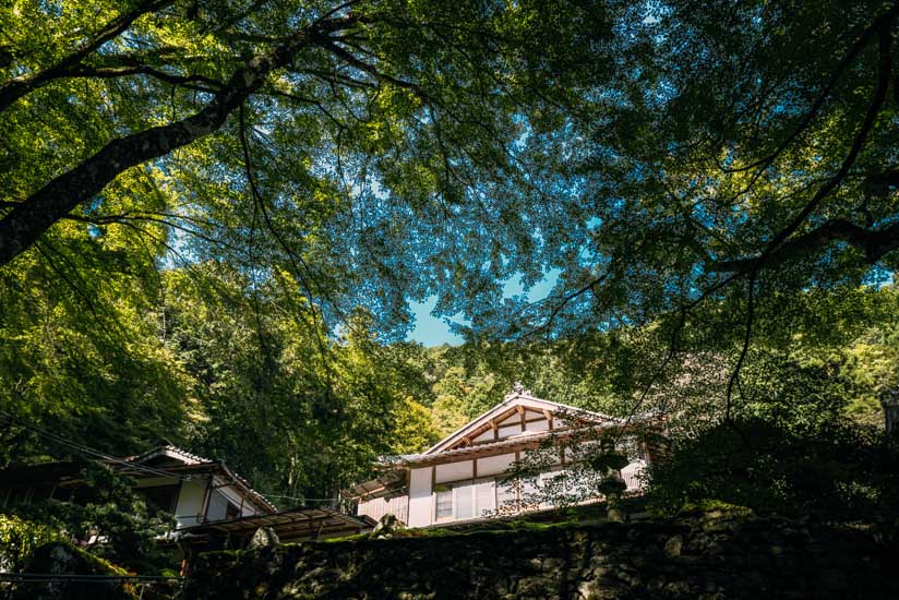 神秘的な寺院