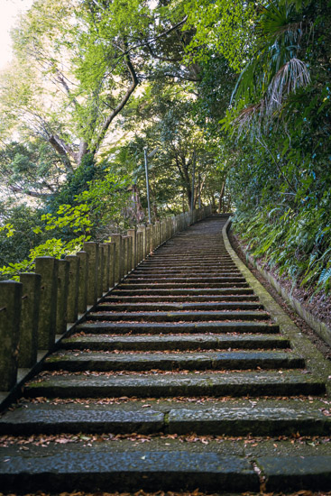 参道の道中