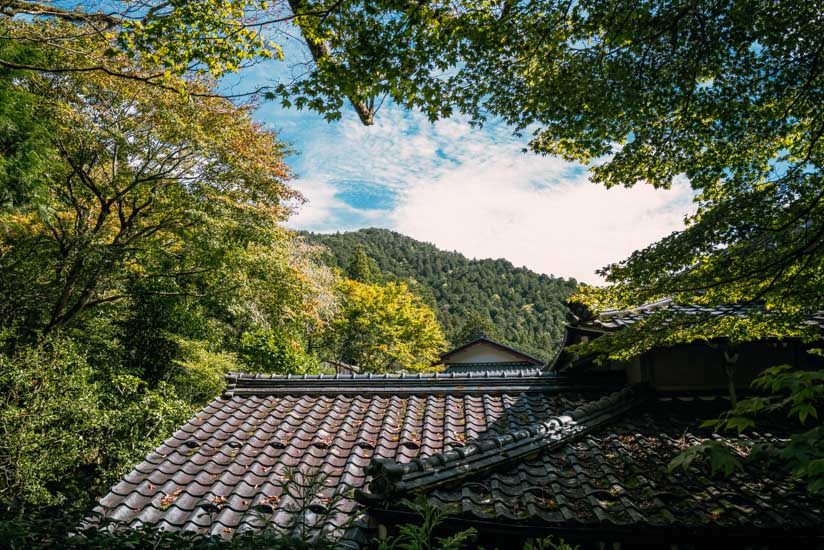 石階段を登りながら右側を見た景色