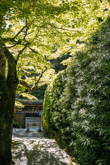 魅力が多い寺院