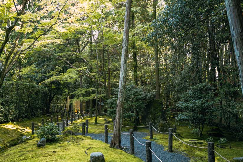 方丈の南側の庭