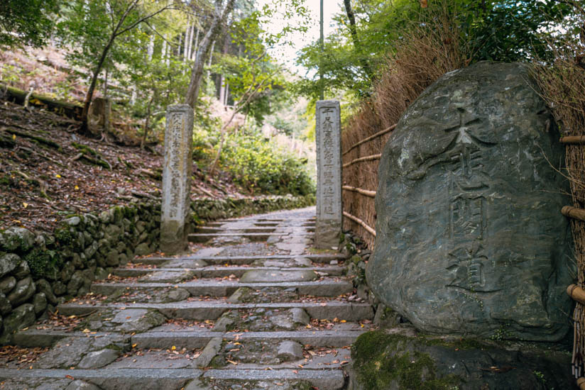 桂川沿いの入口