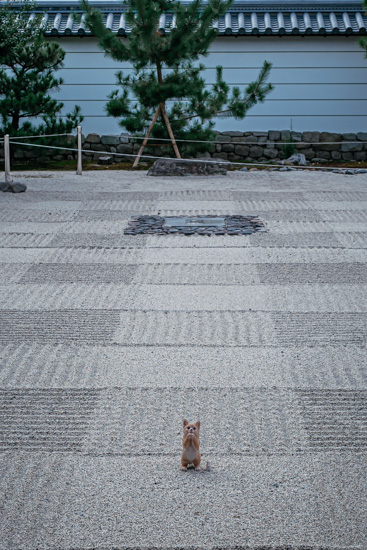 子猫の置き物