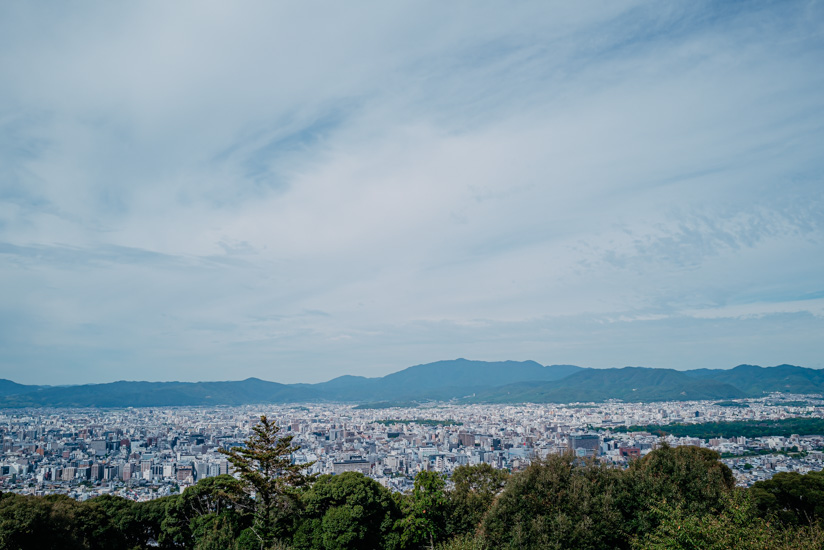 展望台からの景色