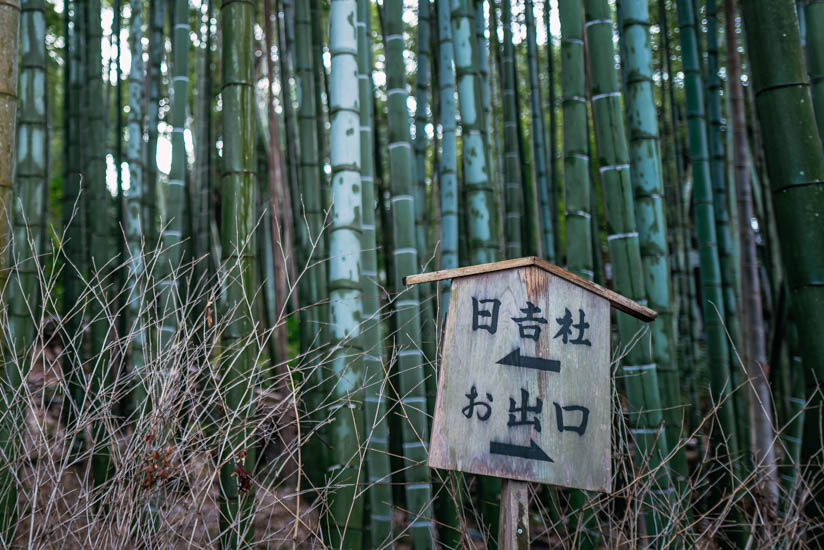 日吉社へ