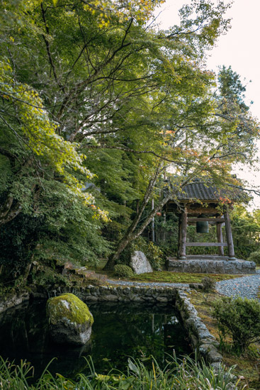 存在感のある寺院