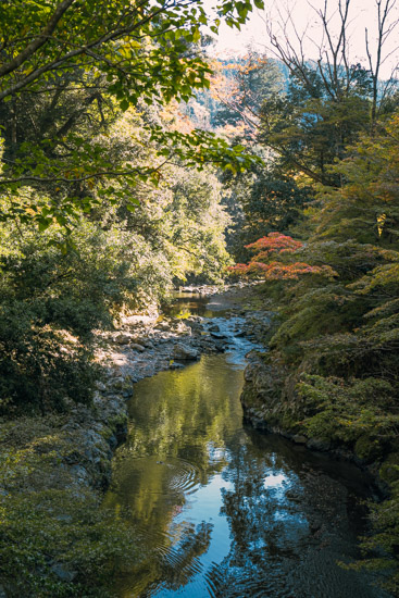 槙尾山西明寺