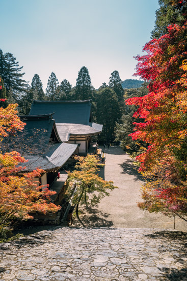 金堂の前からの景色