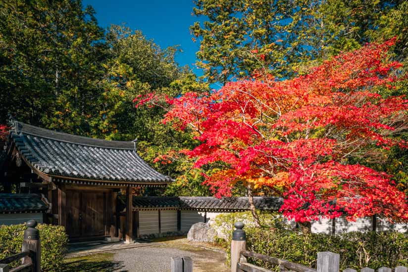 西芳寺