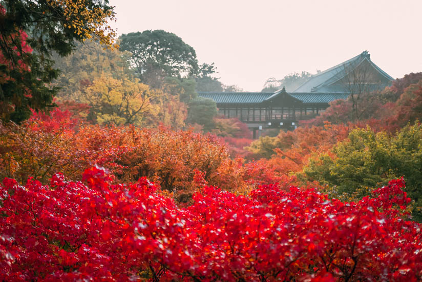 1040757-toufukuji-shuuhen