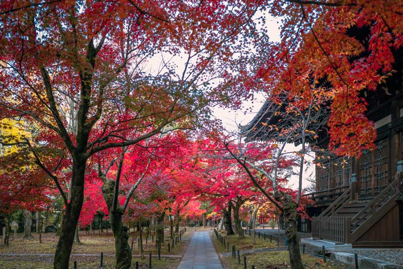 周辺も見事に紅葉