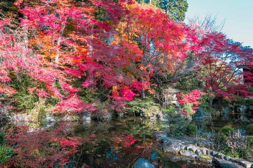 池の周辺