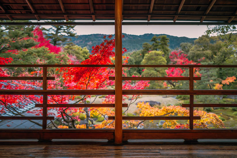 素晴らしい景色