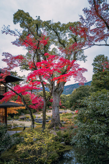 洋館側から庭園