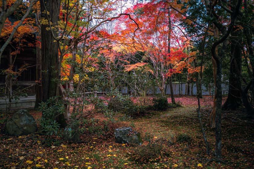 どこを切り取っても芸術