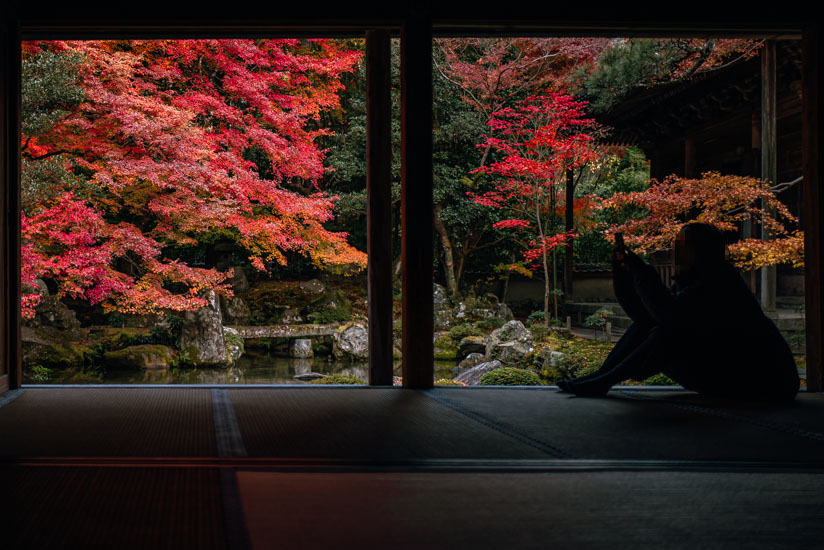 庭園の紅葉