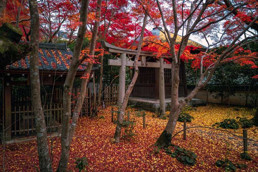 お気に入り寺院