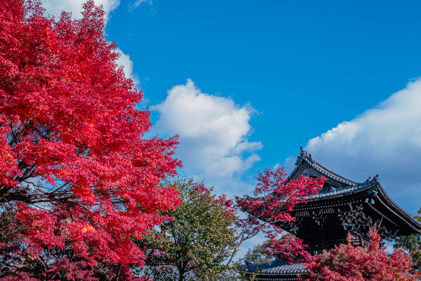 清凉寺の紅葉