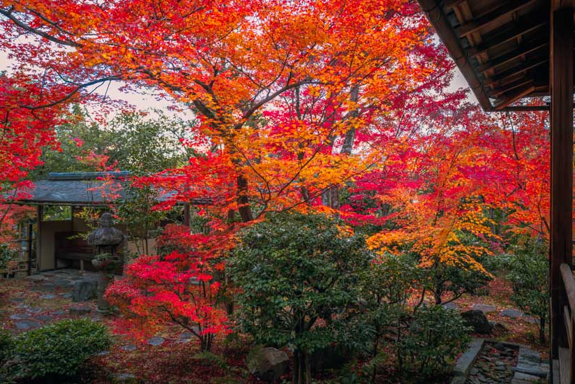 南側の庭園