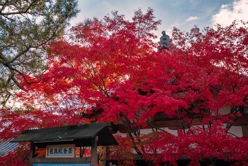 外壁の紅葉