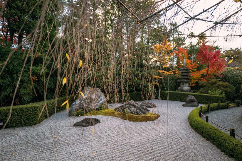 枯山水の庭園