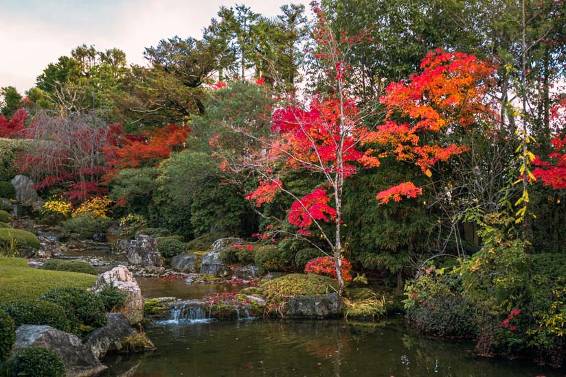 美しい紅葉と池