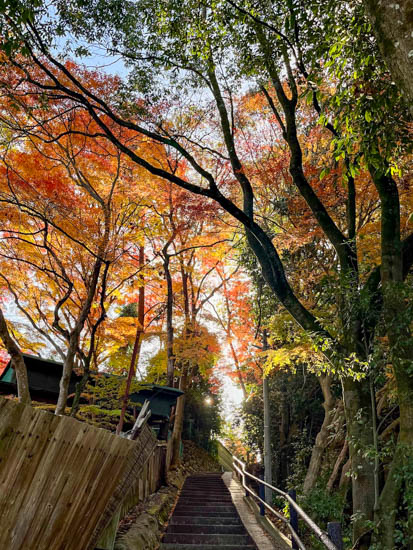 地蔵院へ