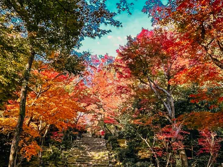 紅葉の色彩も豊か