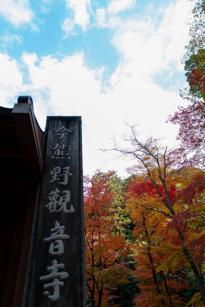 紅葉狩り日和