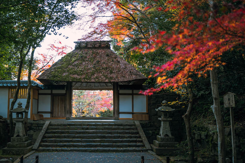 早朝の法然院