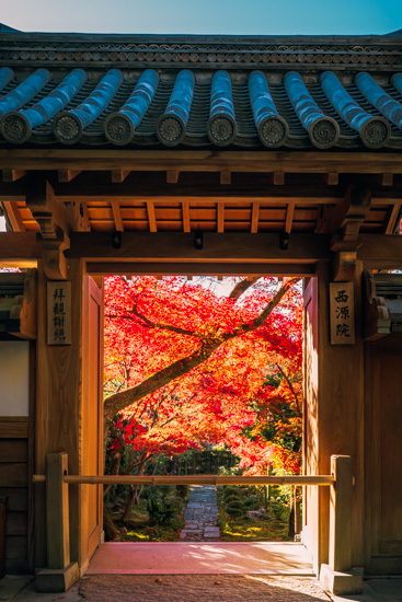 西源院の北側の門