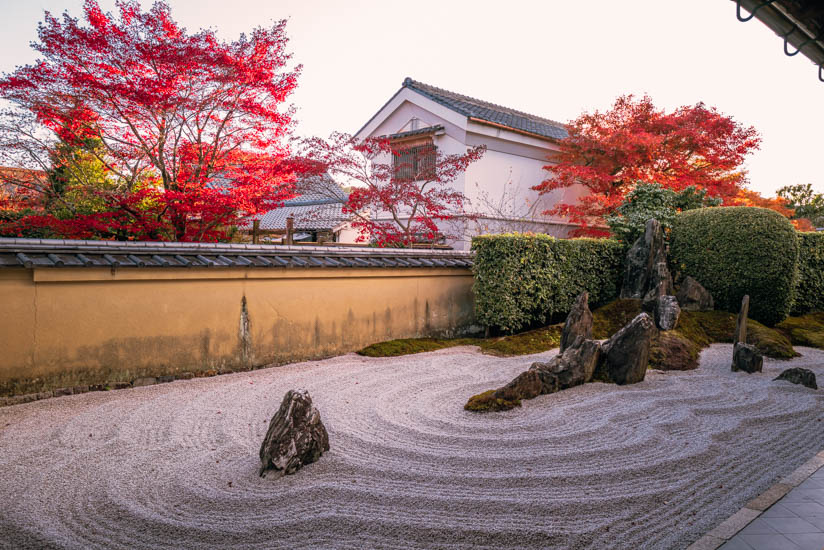 南側の庭園